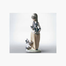 Siguiendo A Sus Gatitos